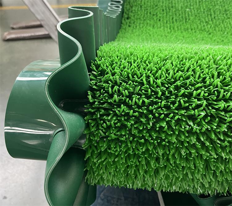 淘金草0717-4 淘金草0717-4