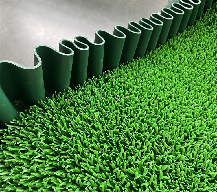 淘金草0717-5 淘金草0717-5