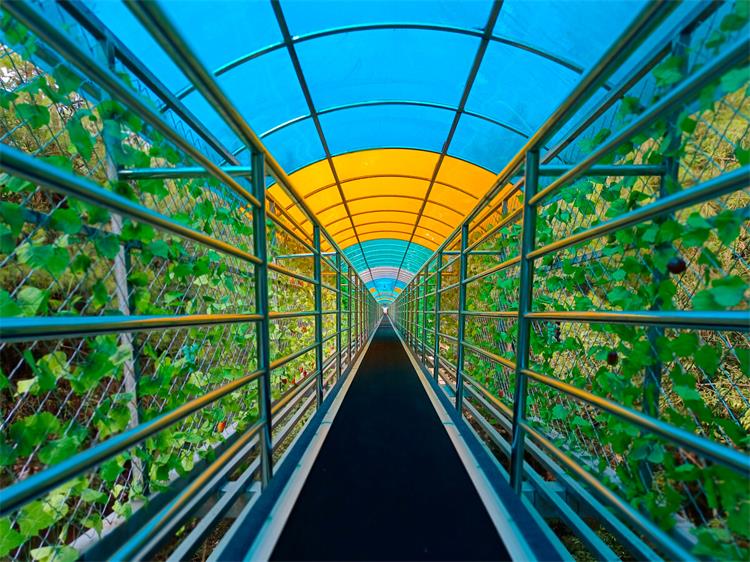 魔毯輸送帶0906-1 魔毯輸送帶0906-1