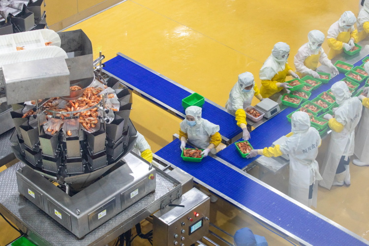 食品輸送帶0924-1 食品輸送帶0924-1