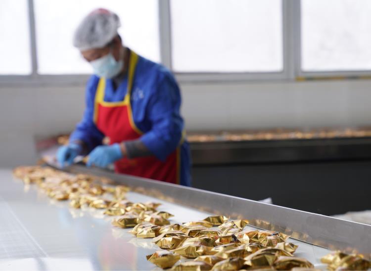 食品輸送帶0924-4 食品輸送帶0924-4