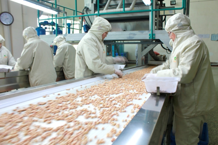 食品輸送帶0924-5 食品輸送帶0924-5