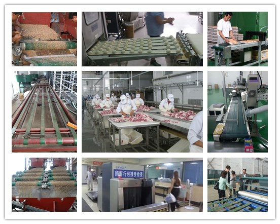 行業(yè)分類(lèi) 行業(yè)分類(lèi)