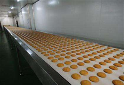 餅干輸送帶 餅干輸送帶