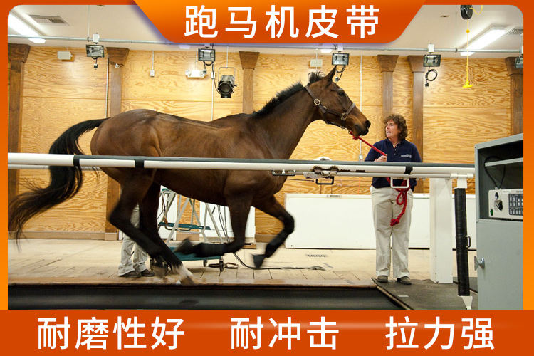 跑馬機皮帶 跑馬機皮帶