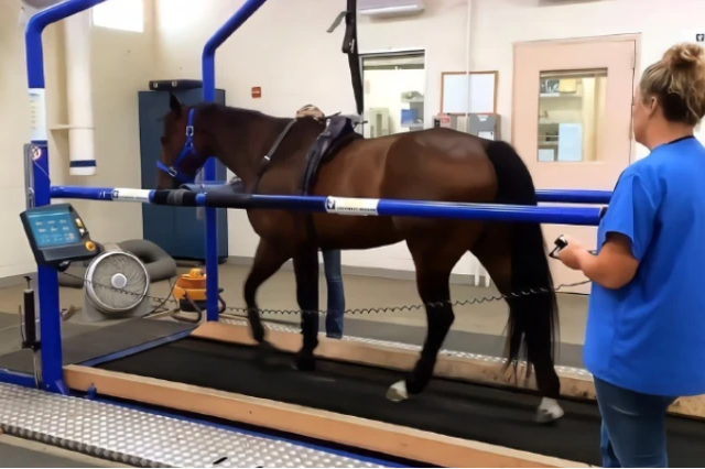 微信圖片_20231121095247 微信圖片_20231121095247