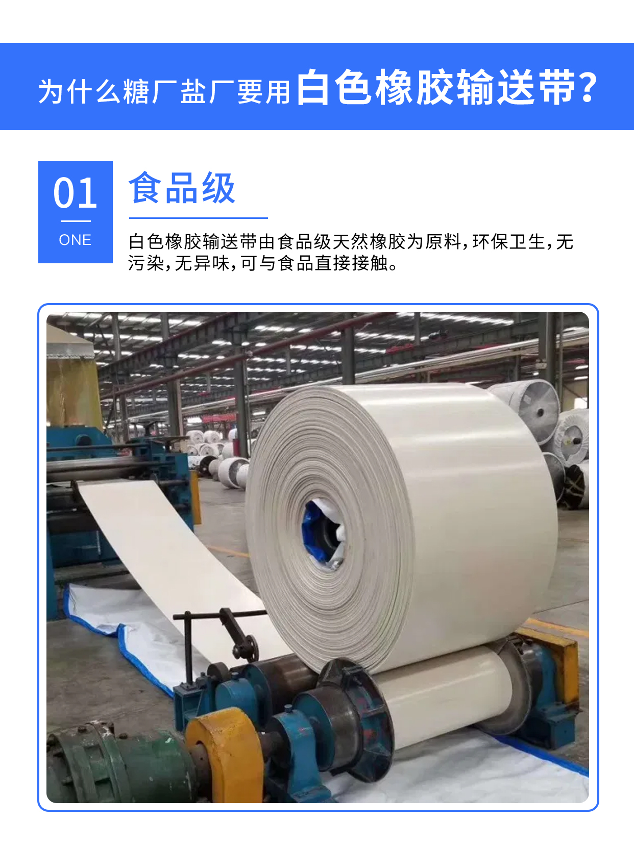 鹽場使用的白色橡膠輸送帶 鹽場使用的白色橡膠輸送帶