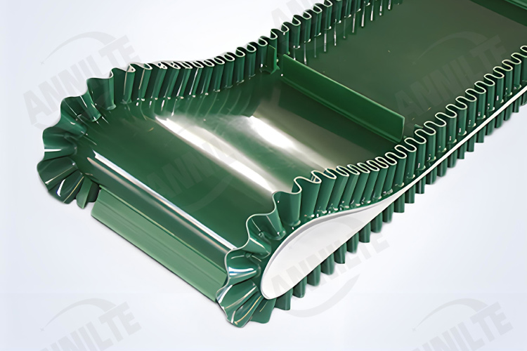 生物質顆粒輸送帶1 生物質顆粒輸送帶1