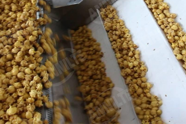 爆米花輸送帶1 爆米花輸送帶1