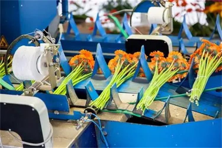 鮮花捆扎機皮帶