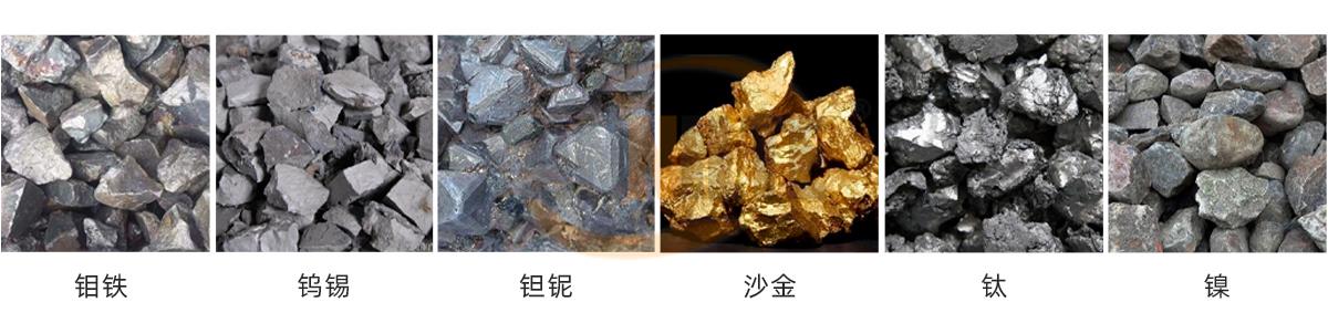 沾金草輸送帶 沾金草輸送帶