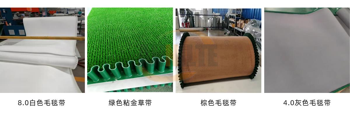 沾金草輸送帶 沾金草輸送帶