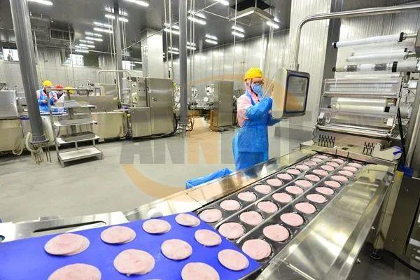 切片分份機輸送帶 切片分份機輸送帶